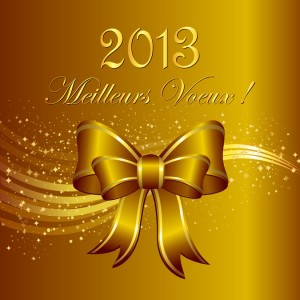 Bonne année 2013 !